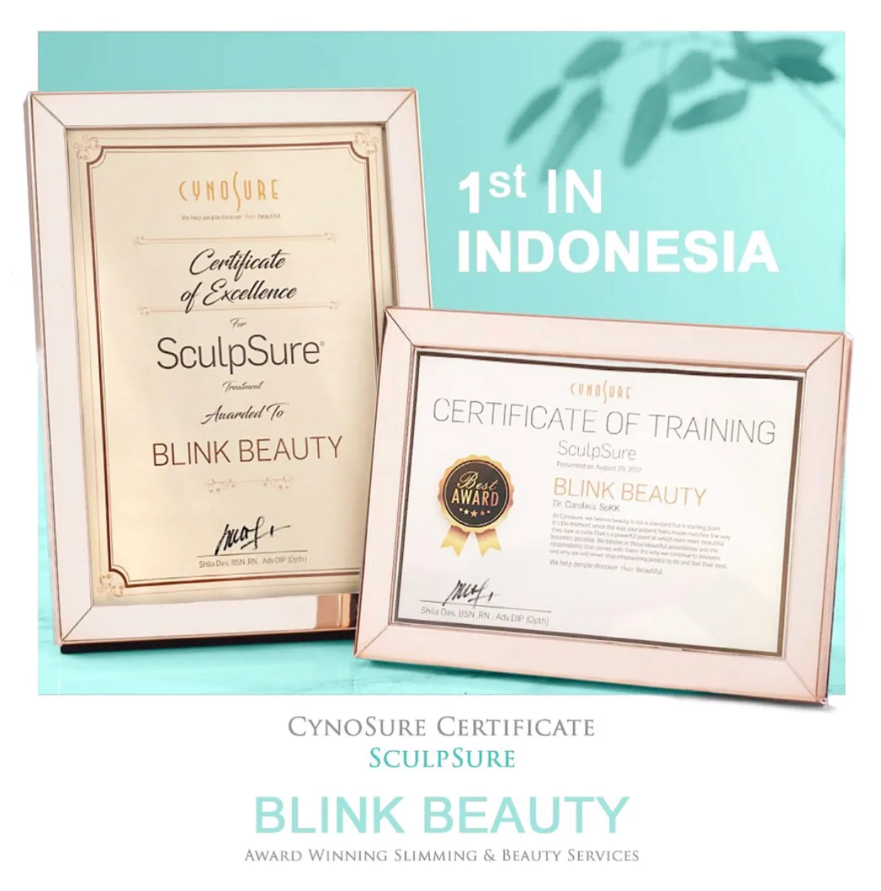 Cynosure & Sculpsure Certificate of Excellence for Blink Beauty Clinic